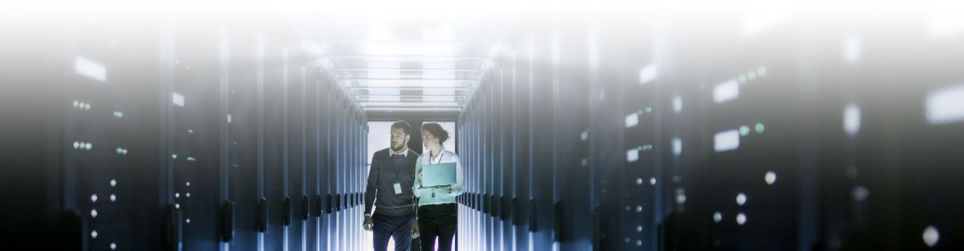 Discover how Canada is investing in Big Data